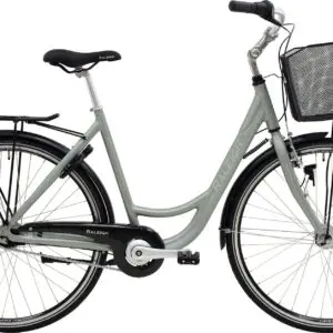 Society Shopping 48cm Raleigh