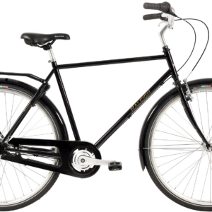 Darlington Herre 56cm Raleigh