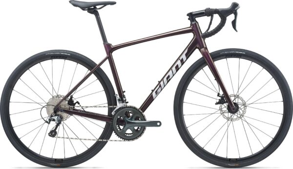 Contend AR 2 Large Giant - Large - Rosewood
