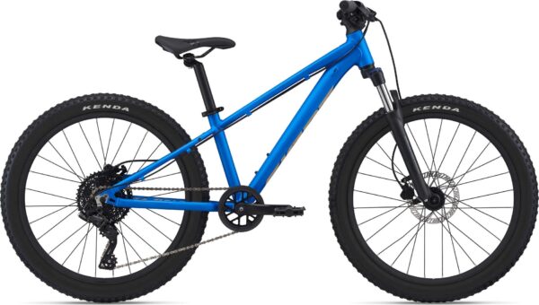 STP 24" FS Giant  - 24" - Azure Blue