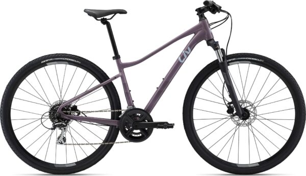 Rove 3 DD Medium Giant - Medium - Purple Ash