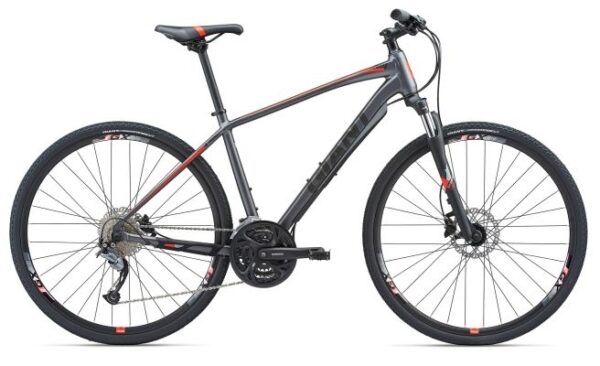 Roam 2 Disc Large Giant - L/700c - Charcoal