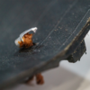 Tubeless Repair kit BBB - Image 2